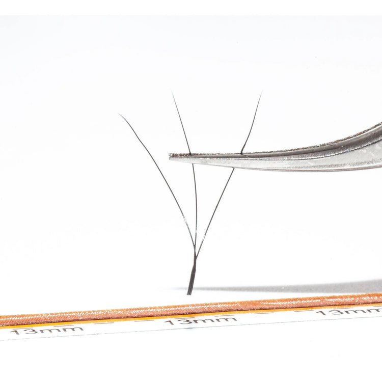 3d-w-eyelash-extensions-0-07-lashladypro-2