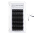 3D W Eyelash Extensions 0.07 for professional lash extension use