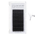 4D W lash extension tray