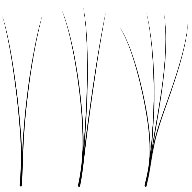 YY/WW