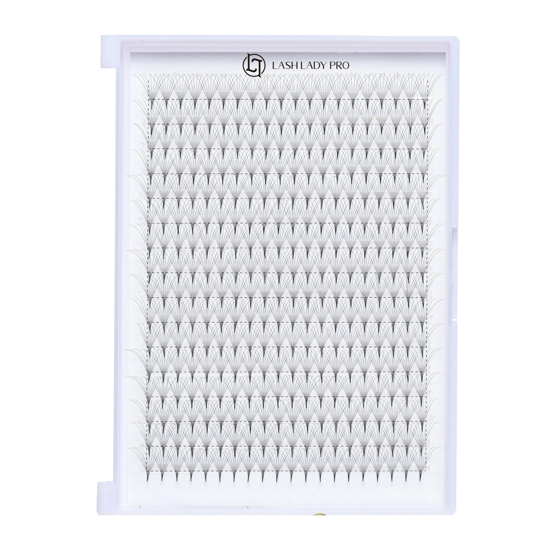 Premade Fans Lashes - 320 Fans 8D 0.05 Pointy Base | 16 Rows for professional lash extension use