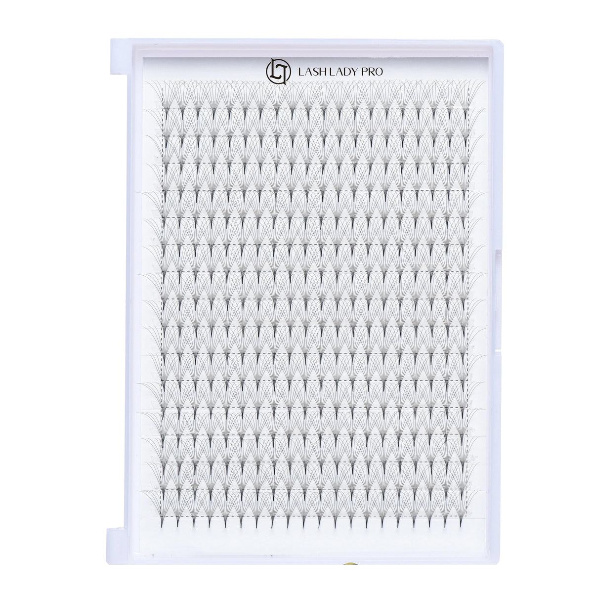 Premade Fans Lashes - 320 Fans 8D 0.05 Pointy Base | 16 Rows for professional lash extension use
